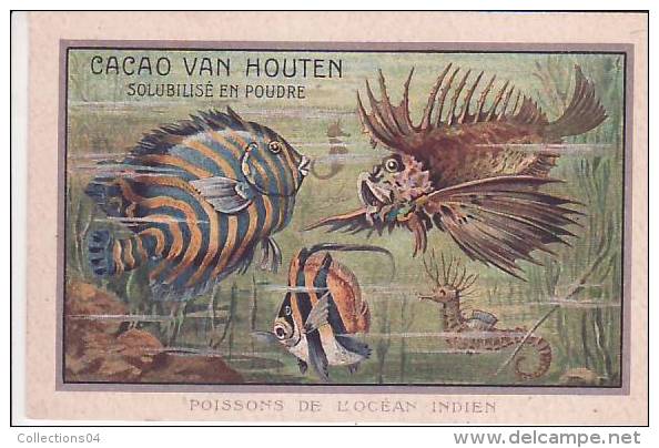 CHROMOS VANHOUTEN  / POISSONS DE L OCEAN INDIEN /HIPPOCAMPES / PELORS /HOLACANTHES/ HENIOQUES - Van Houten