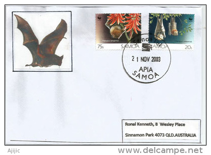 Samoa Flying Fox & Pacific Flying Fox, Letter From APIA  / Samoa To New-Zealand - Samoa