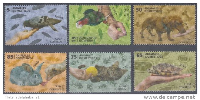 2013.128 CUBA 2013 MNH . ANIMALES DOMESTICOS , DOG , CAT , RABIT , TURTLE , HORSE ,PARROT & PIGEON . - Unused Stamps