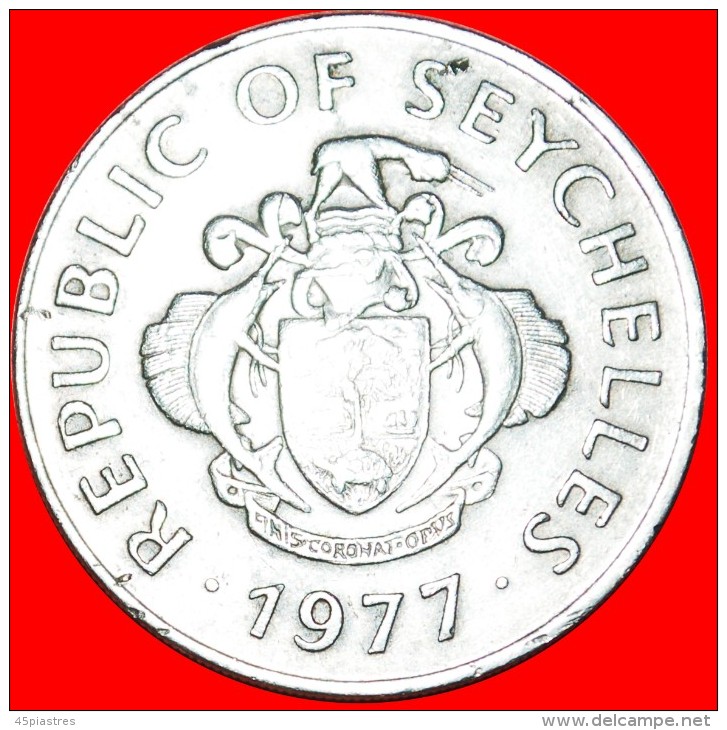 § TRITON SHELL: SEYCHELLES &#9733; 1 RUPEE 1977! LOW START&#9733;NO RESERVE! - Seychelles