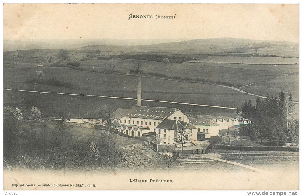 88 Senones,l'Usine Prêcheur,  Carte Pas Très Courante, Bel Affranchissement 1906 - Senones