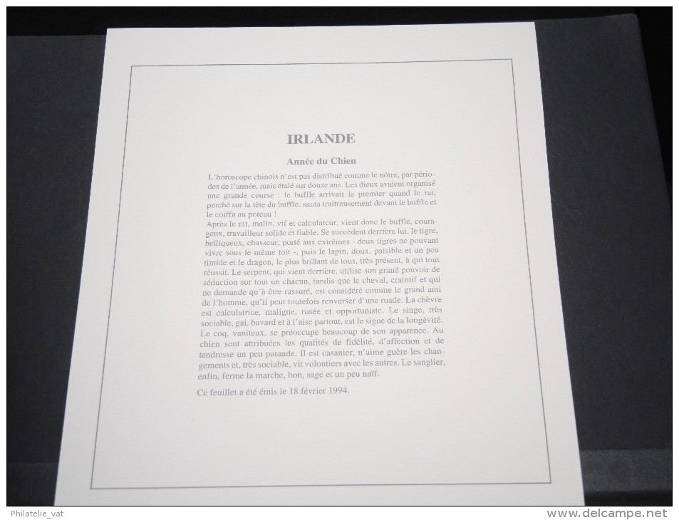 IRLANDE-  Bloc Luxe Avec Texte Explicatif - Belle Qualité - À Voir -  N° 11614 - Hojas Y Bloques