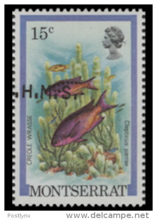 MONTSERRAT 1981 Hogfish Fish 15c  OVPT:OHMS ERROR:shift    [Fehler,erreur,errore,fout] - Montserrat