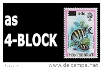 MONTSERRAT 1983 Sergeant Major Fish 40c On 25c ERROR:on Wrong Val.4-BLOCK      [Fehler,erreur,errore,fout] - Montserrat