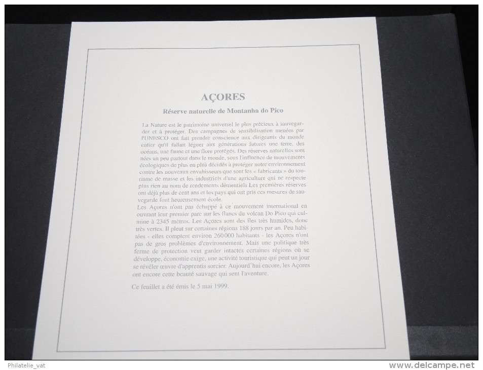 PORTUGAL - LES ACORES -  Bloc Luxe Avec Texte Explicatif - Belle Qualité - À Voir -  N° 11626 - Blocs-feuillets