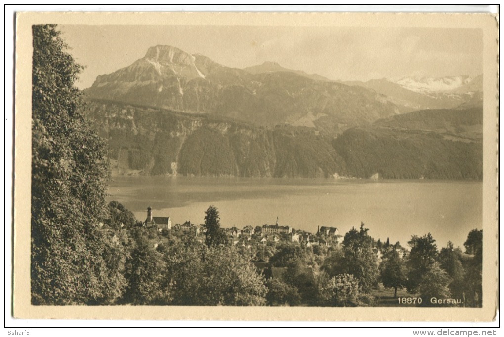 GERSAU Foto Panorama Um 1910 - Gersau