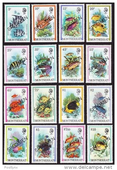 CV:€24.00 MONTSERRAT 1981 Local Fishes SPECIMEN SET:16 Stamps   [spécimen,Muster,muestra,saggio] - Montserrat