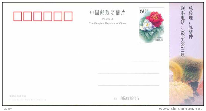 Cactusses Cactus   ,  Prepaid Card, Postal Stationery - Cactusses