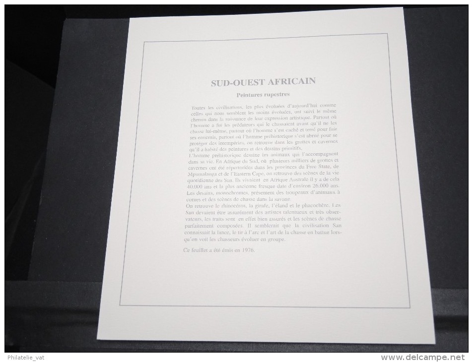 AFRIQUE DU SUD -  Bloc Luxe Avec Texte Explicatif - Belle Qualité - À Voir -  N° 11689 - Blocs-feuillets