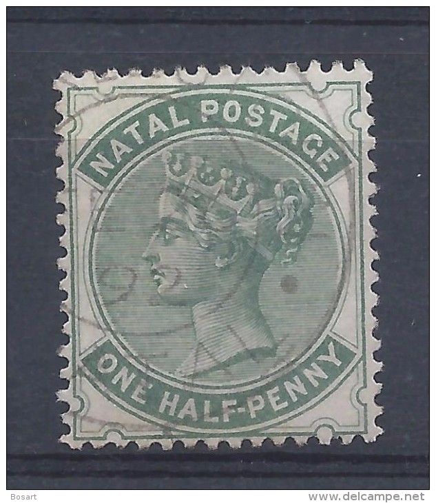 Natal Afrique Du Sud Colonie Britanique 1882  Victoria N°28 C.20 € - Africa (Other)