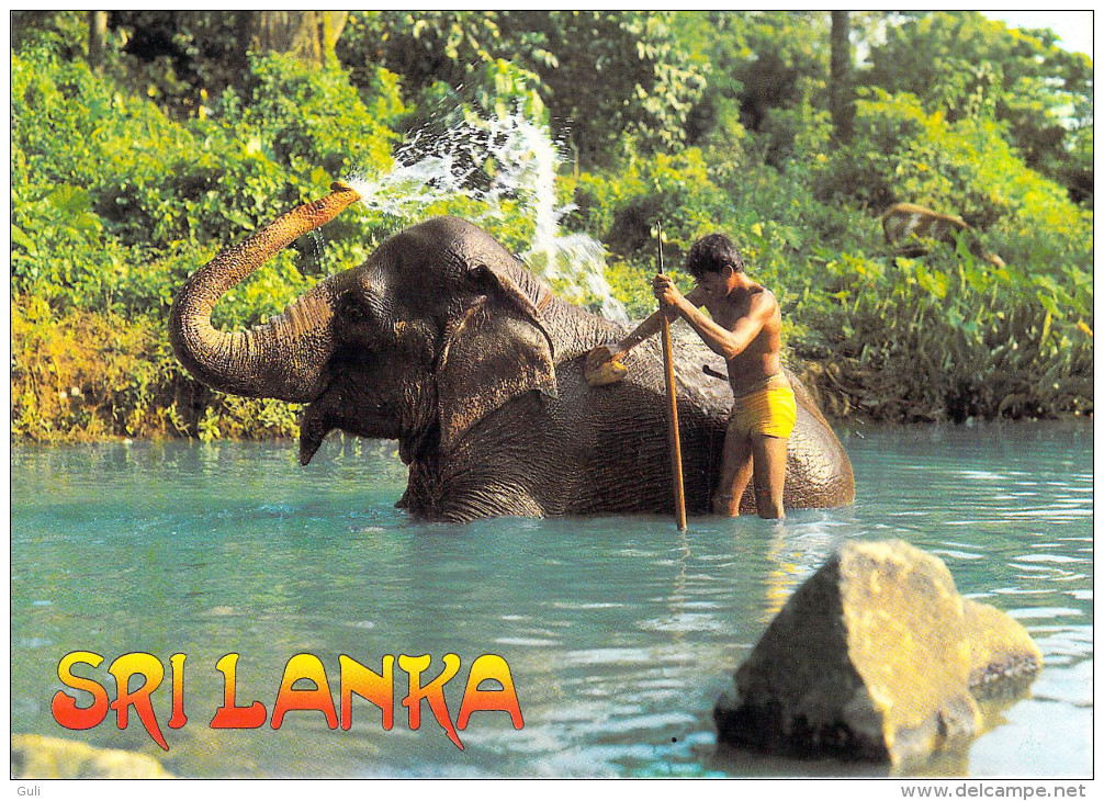 Asie > SRI LANKA  - ELEPHANT Bath  KANDY (LALITH DE SILVA  70062 )*PRIX FIXE - Sri Lanka (Ceylon)