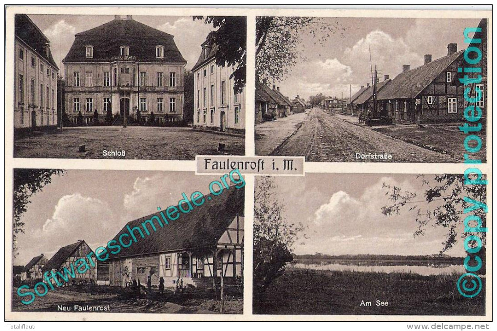 FAULENROST Amt Malchin Schloss Neu Faulenrost Dorfstraße Am See Braune Fotokarte Ungelaufen - Teterow