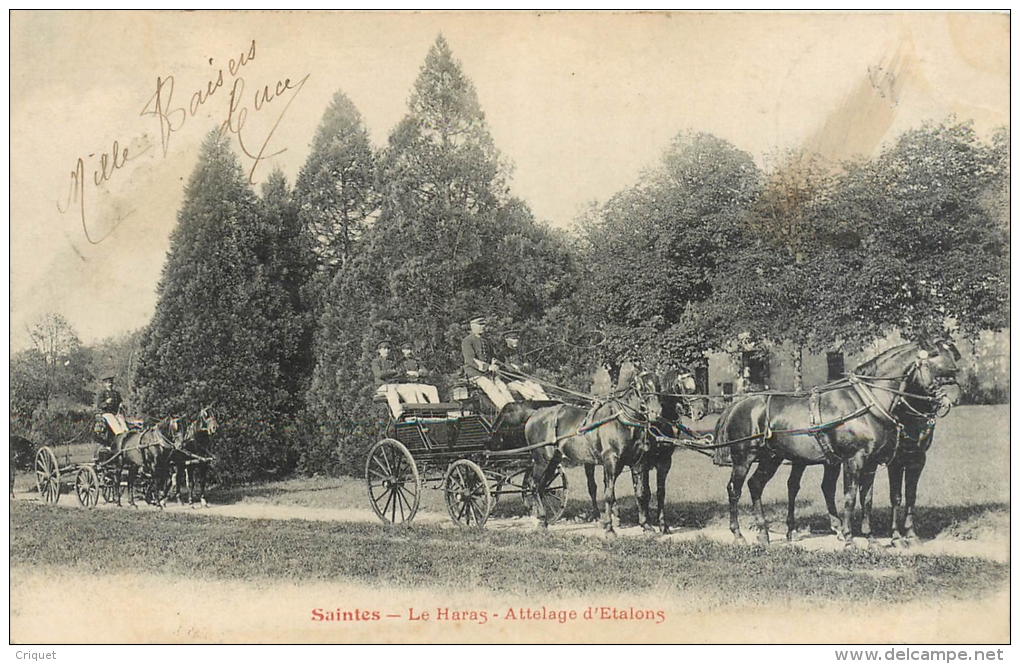 17 Saintes, Le Haras, Attelage D'étalons, Affranchie 1905 - Saintes