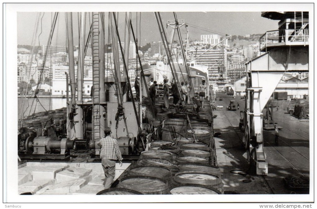Algerien - Die LMS Arbedo Basel Im Hafen Von Algier 23. Juli 1963 Private Postcard - Welt