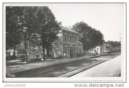 9 - ST-MARTIN-D'ESTREAUX - LA GARE   (  Animées ) - Autres & Non Classés