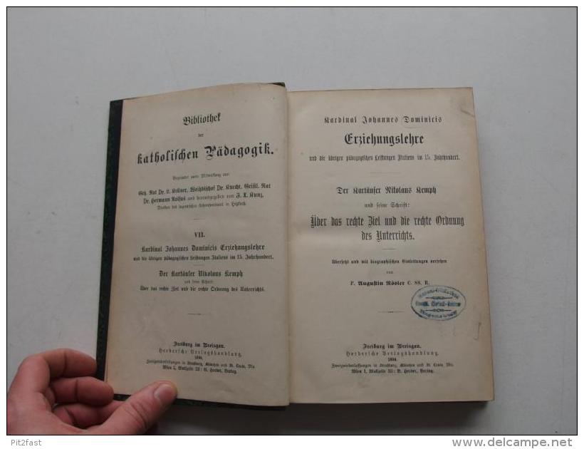 Erziehungslehre 1894 , Kardinal J. Dominicis , Ordnung Des Unterrichts , Freiburg - Herder , Nikolaus Kemph , Schule !!! - Psychology