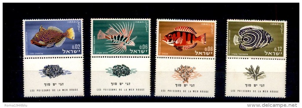 ISRAELE 1963 PESCI MARI ROSSO  ** MNH - Andere & Zonder Classificatie