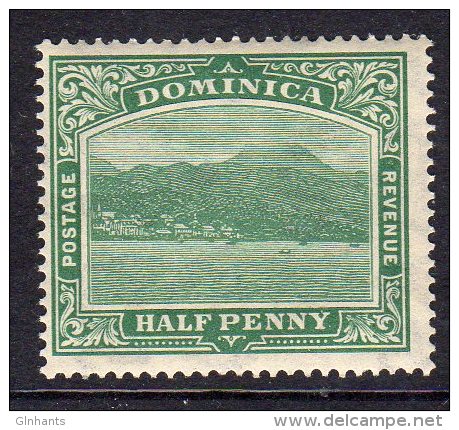 DOMINICA - 1921 HALF PENNY DEFINITIVE WMK MULT SCRIPT CA S/W FINE MNH ** SG 62 - Dominica (...-1978)