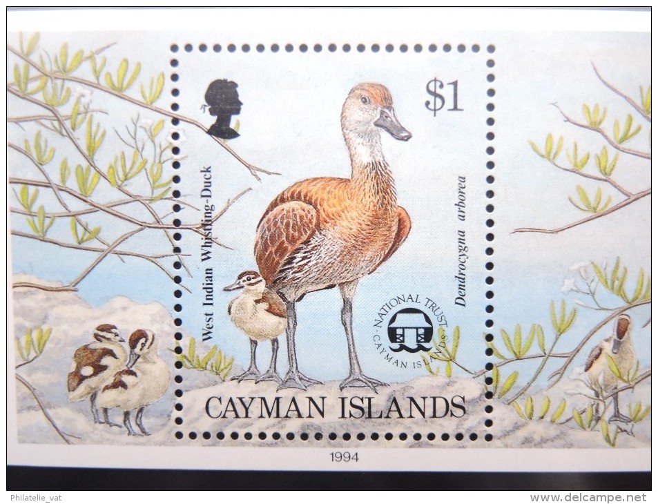 ILES CAIMANS - Bloc Luxe Avec Texte Explicatif - Belle Qualité - À Voir -  N° 11808 - Cayman Islands