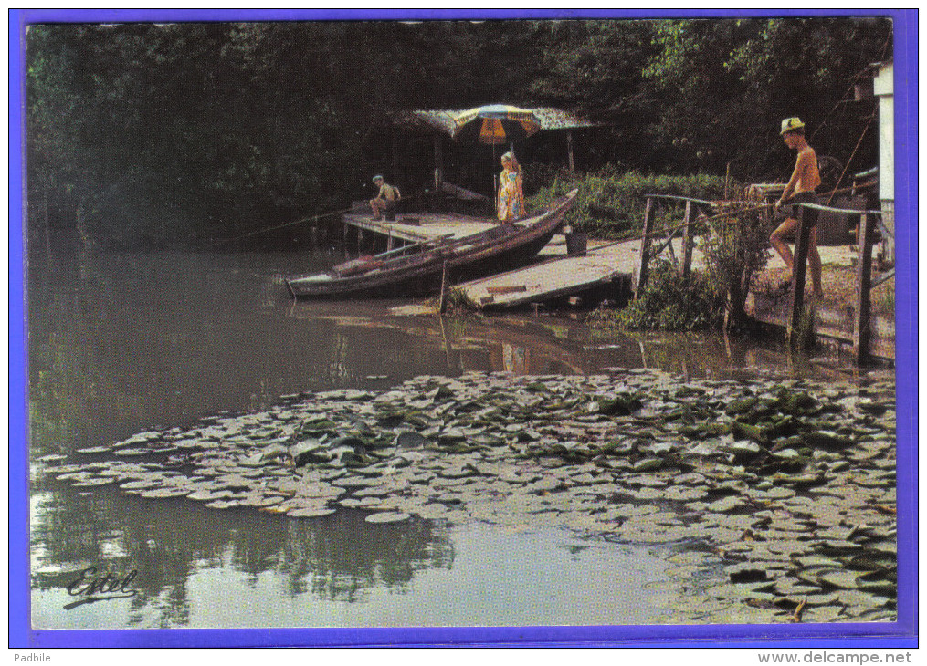 Carte Postale 62. Ardres  Les Pêcheurs Du Lac   Trés Beau Plan - Ardres