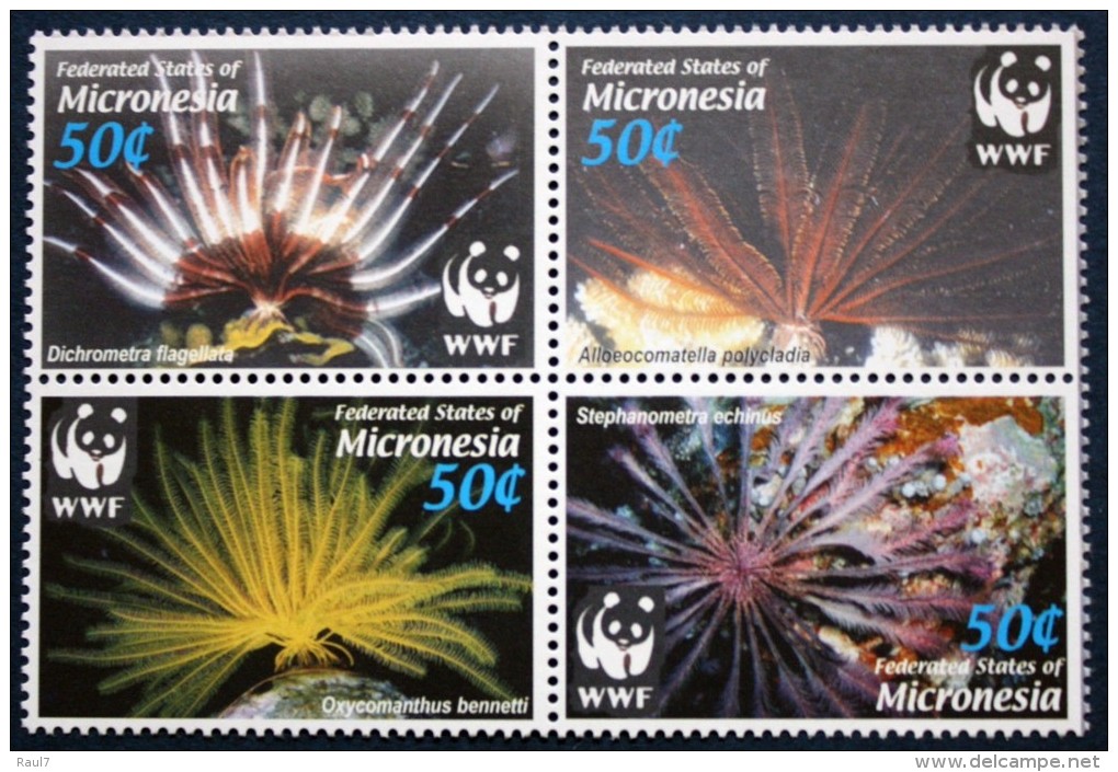 Micronesia - Faune Marine, Wwf - 4 Val Neufs // Mnh - Unused Stamps