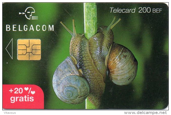 Escargot  Snail  Animal Télécarte Telefonkarten Phonecard R131 - Sin Clasificación