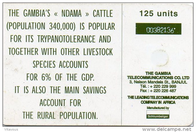 Vache Cow Télécarte GAMBIE Phonecard  Telefonkarten R134 - Gambie