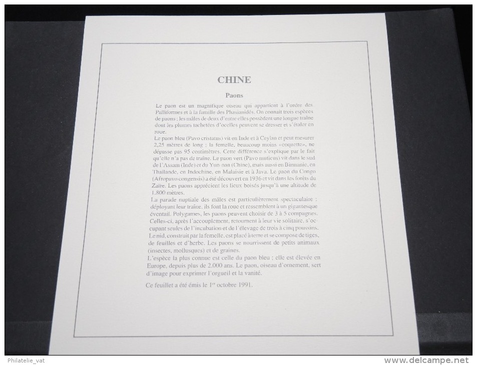 CHINE - Bloc Luxe Avec Texte Explicatif - Belle Qualité - À Voir -  N° 11478 - Blocks & Sheetlets