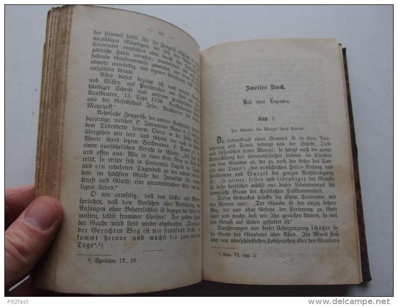 Leben Der  Klosterfrau Maria Trescentia Höß Von Kaufbeuren , 1874 , P.I. Jeiler , A. Laumann In Dülmen , Kloster , Adel - Biografía & Memorias