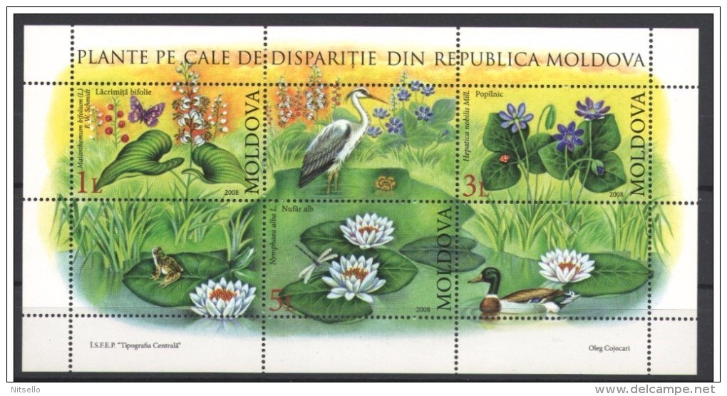 HB FAUNA  ///  (C105)  MOLDAVIA 2008  //  YVERT Nº: BLOCK 48 **MNH  //  CATALOG/COTE: 9,50€ - Moldova