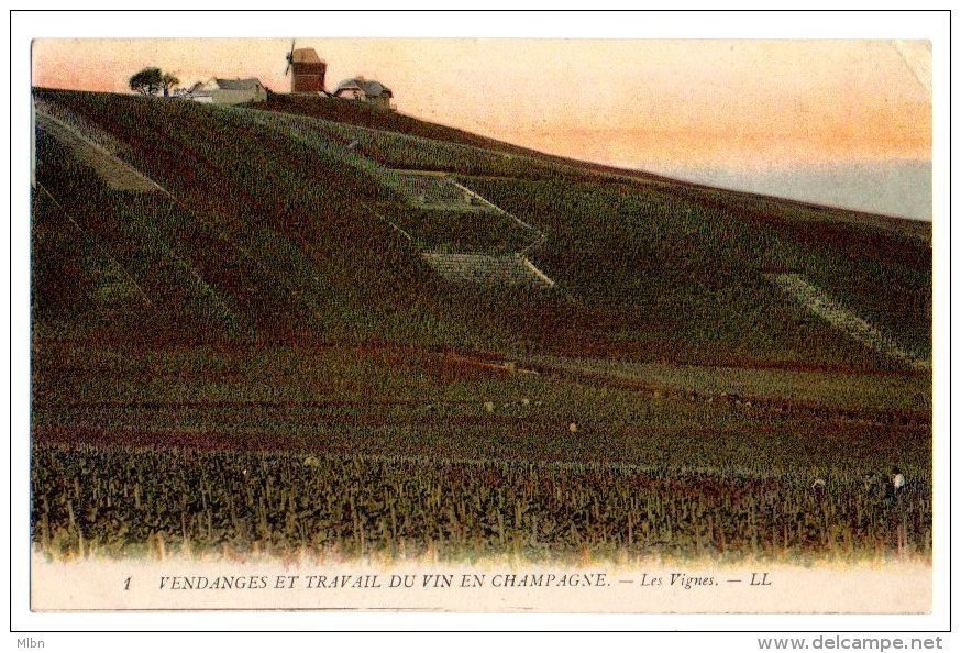 Cpa   Vendanges Et Travail Du Vin En Chamapgne  Les Vignes  ( Moulin )  BE - Sonstige & Ohne Zuordnung