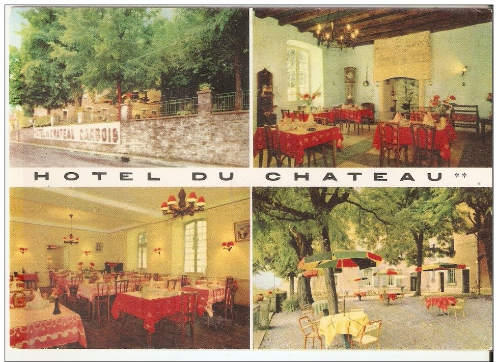 ALVIGNAC  HOTEL DU CHATEAU - Autres & Non Classés