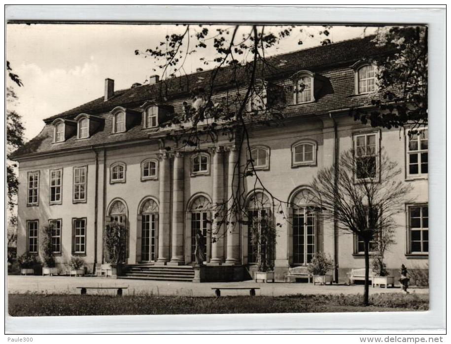 Dessau - Schloss Mosigkau - Staatliches Museum - Dessau