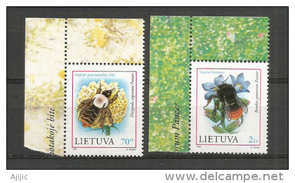 Bourdon & Abeille,  2 Timbres Neufs ** De Lituanie, Année 1999 - Abeilles