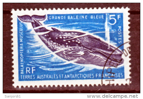 TAAF 22 Baleine Bleue 25% De Cote   Oblitéré Used Crozet Cote 16 - Oblitérés