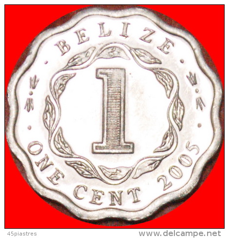 § SCALLOPED: BELIZE &#9733; 1 CENT 2005 MINT LUSTER! LOW START &#9733; NO RESERVE! - Belize