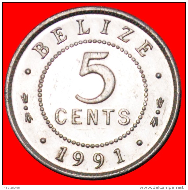 § COLONIAL PORTRAIT: BELIZE &#9733; 5 CENTS 1991! LOW START &#9733; NO RESERVE! - Belize