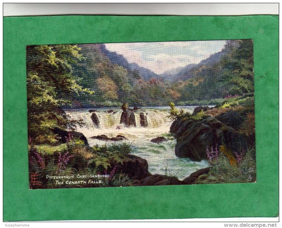 The Cenarth Falls Cardiganshire Oilette 7742 Raphael Tuck & Sons (Wales) - Cardiganshire