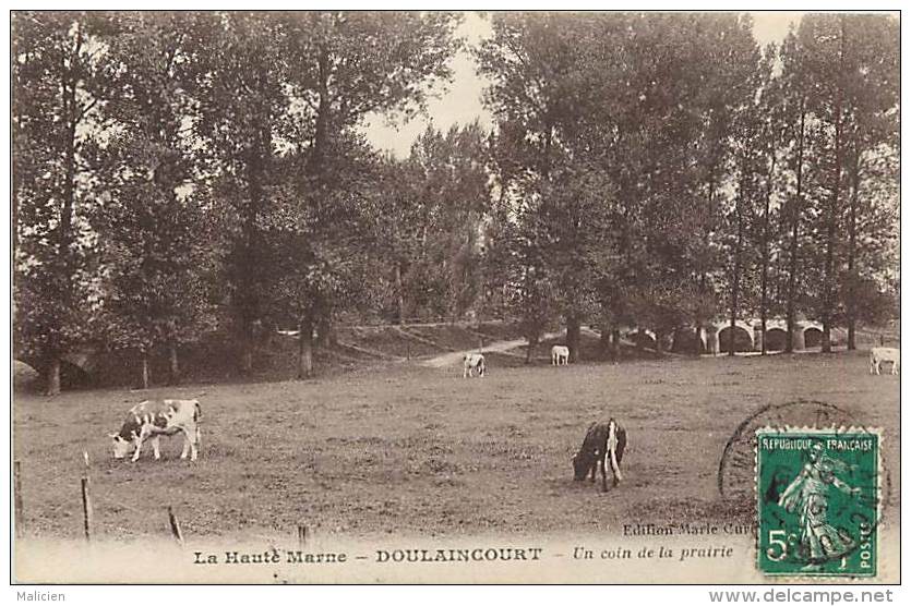 - Haute Marne - Ref-52596 - Doulaincourt -un Coin De La Prairie  - Carte Bon Etat - - Doulaincourt