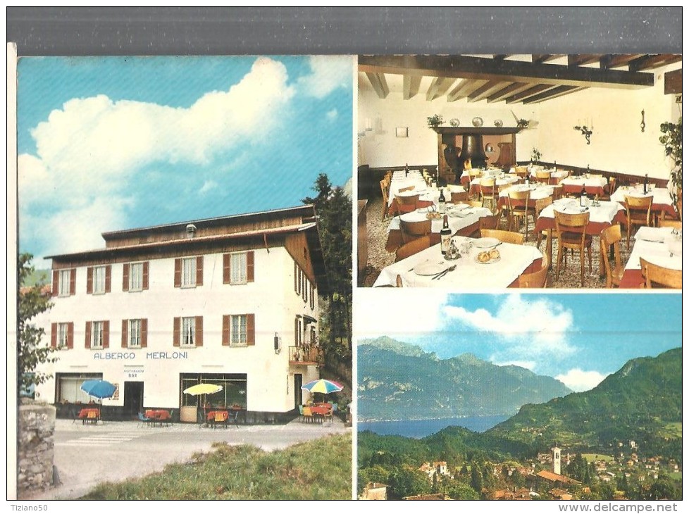 GRANDOLA ED UNITI,ALBERGO MERLONI,PANORAMICA.- VIAGGIATA..1983-FG-C1984-T - Hoteles & Restaurantes