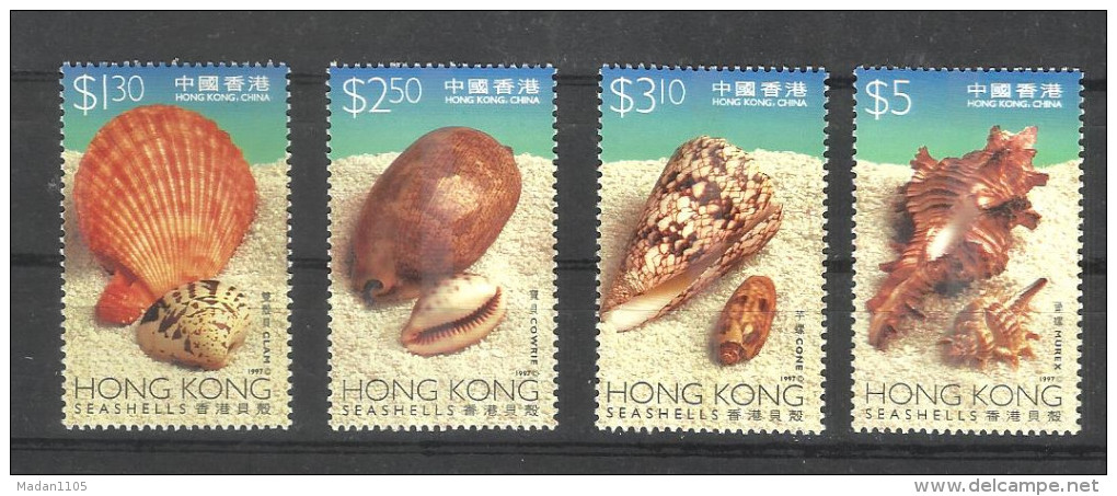 HONG KONG,  HONGKONG, 1997, Sea Shells, Marine Life, Seashell,  Seashells, Set 4 V,   MNH, (**) - Unused Stamps