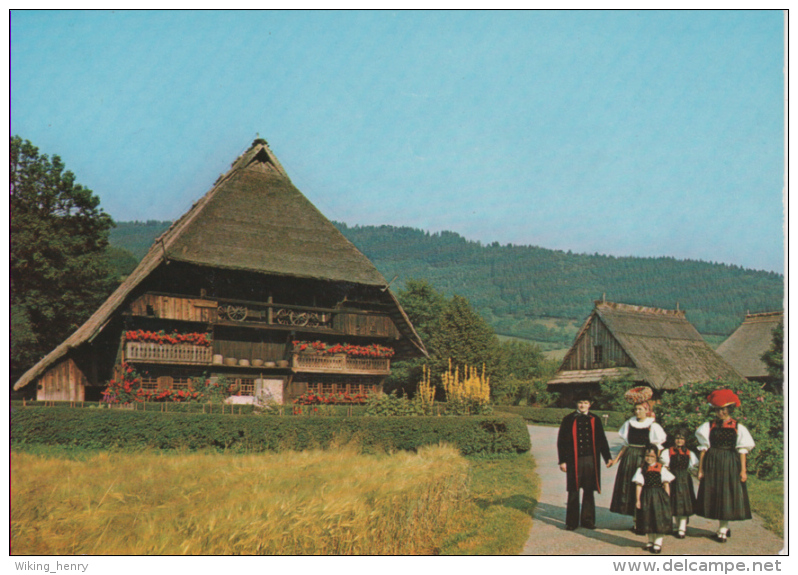 Gutach - Schwarzwälder Freilichtmuseum 2 - Gutach (Schwarzwaldbahn)