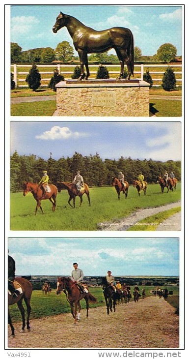 ENGLAND    LOT DE 3 CARTES DE NEWMARKET    ****   A SAISIR   **** - Sonstige & Ohne Zuordnung