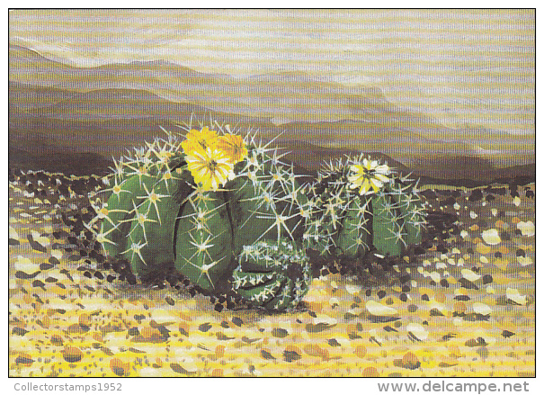 38718- CACTUSSES - Cactus