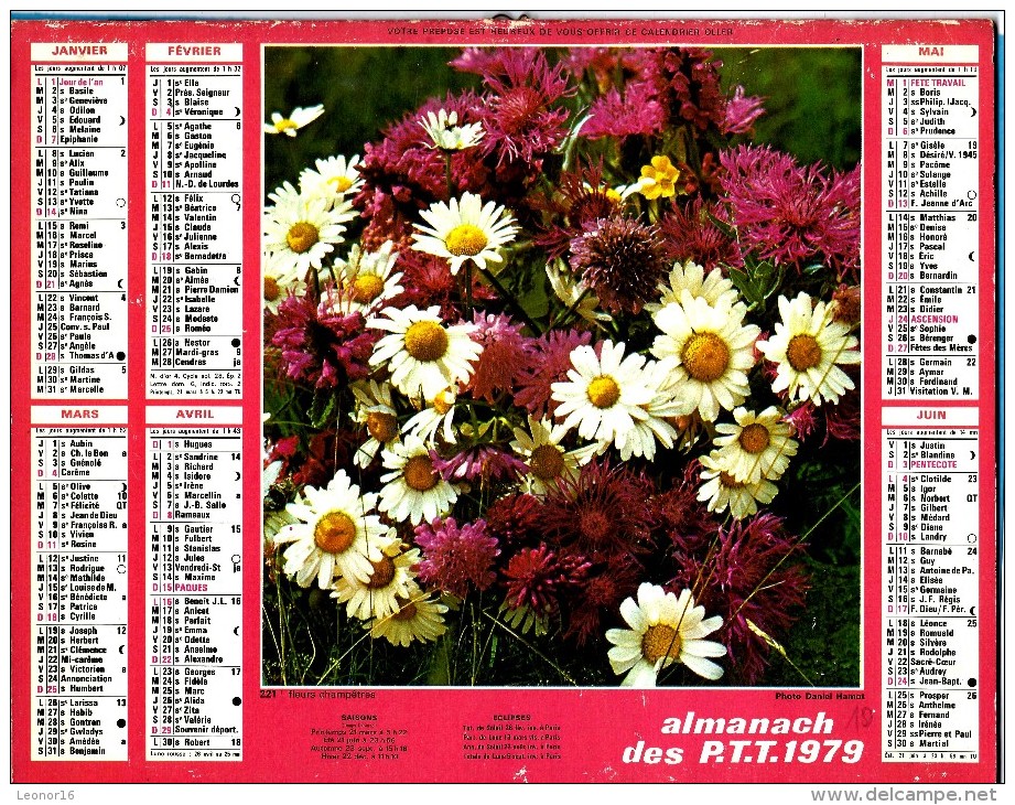 ALMANACH DES P.T.T 1979 (75)   -  Complet ** OEILLET DE POETE - FLEURS CHAMPETRE ** Calendrier *OLLER * N° 221 - Grand Format : 1971-80