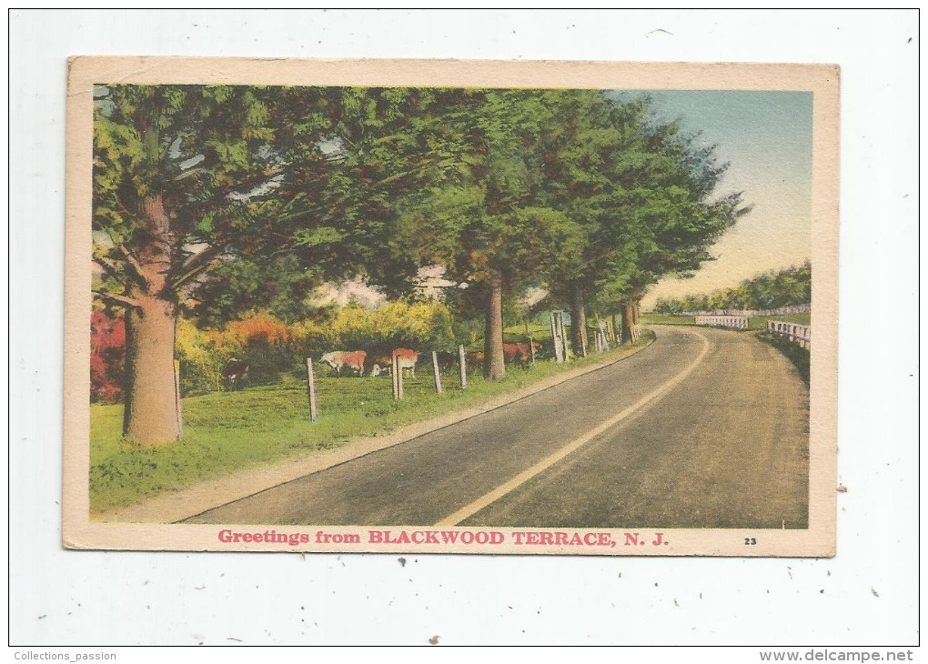 G-I-E , Cp , ETATS UNIS , New Jersey , Greetings From BLACKWOOD TERRACE , Voyagée 1939 - Autres & Non Classés