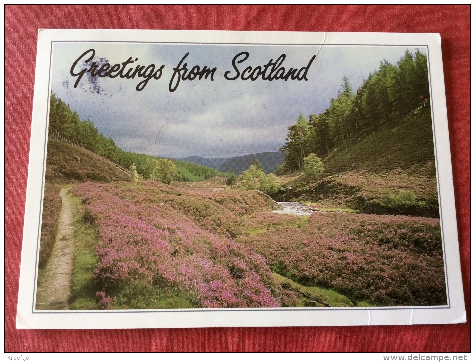 UK Greetings From Scotland - Other & Unclassified