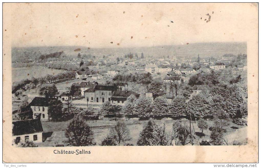 57 - Château-Salins (tampon 291e Regiment D'artillerie De Campagne) - Chateau Salins