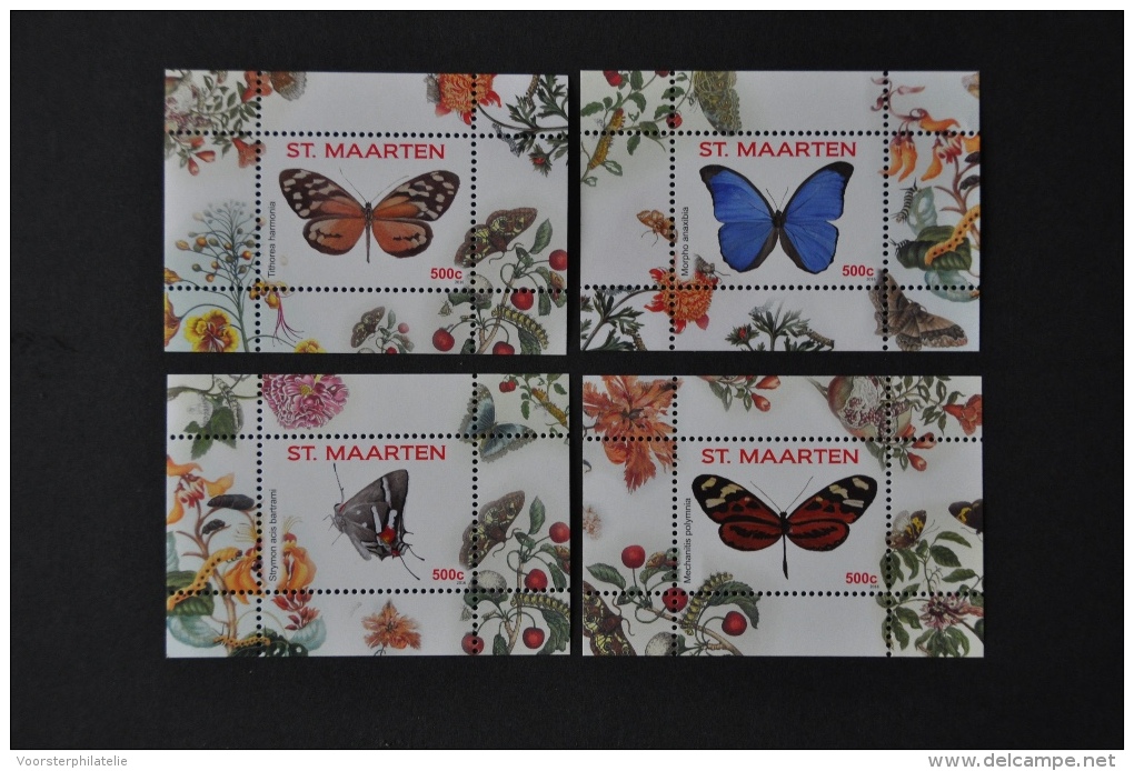 ST. MAARTEN 2016 SHEETS VLINDERS PAPILLON BUTTERFLIES SCHMETTERLINGEN MNH VERY FINE - Curazao, Antillas Holandesas, Aruba