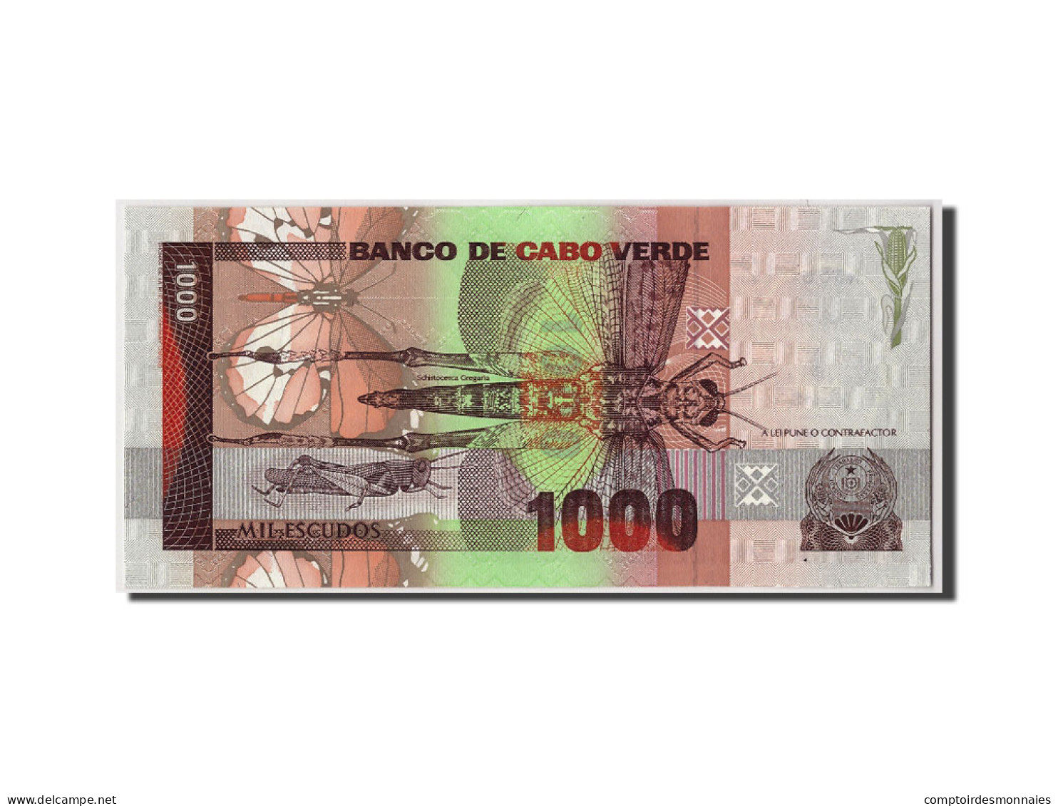 Billet, Cape Verde, 1000 Escudos, 1989, 1989-01-20, KM:60a, NEUF - Cap Vert